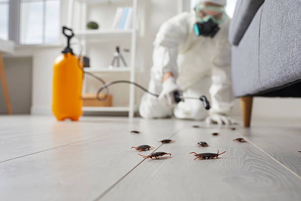 Commercial Kitchen Cockroach Control in LaGrange